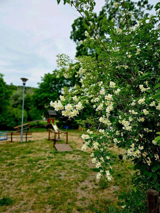 Smoldzinskie Zacisze Smołdzino 외부 사진